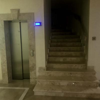 Img 1718
